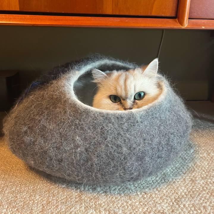 78ba092b 3919 4ab5 a4ac 0a6a814ddd9c 1666695865957