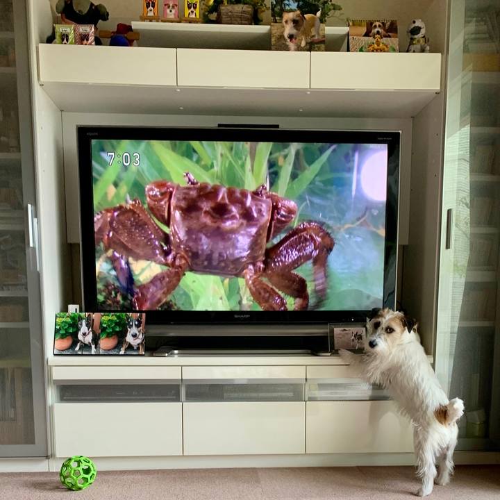 78ba174c ff7c 482e 8a30 94246df8ce75 1648299592658