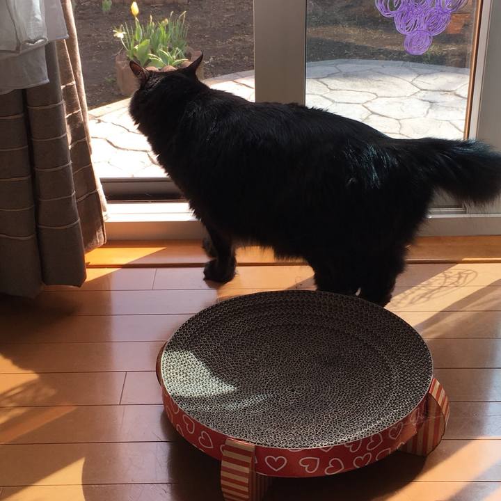 78ba46b0 9183 401e bfab e0d14df0037f 1525417282385