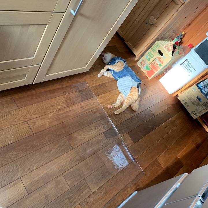 78ba5428 0905 4e6b b4b7 23459809c81b 1656649782099