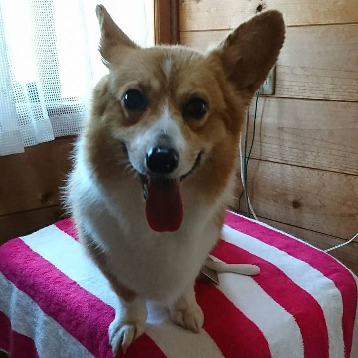 78ba93dc 6715 4719 a465 1f523f03fd28 1527996715407