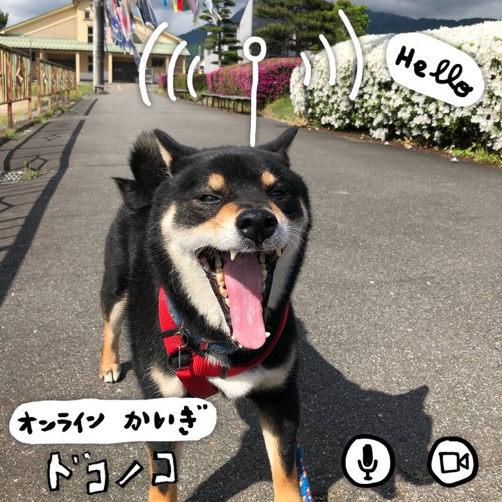 78baacb6 91e1 4437 a5a7 e7e17587affd 1590735978439