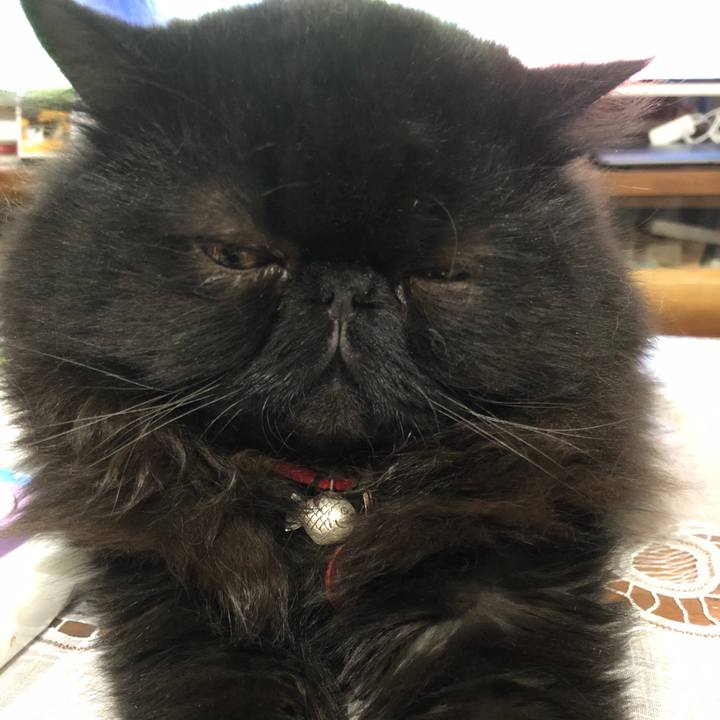 78baaeab cada 46ae 803b f2af5acfd1bb 1537579158707