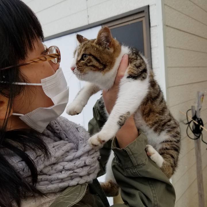 78baeb68 67bb 46d7 8522 30428ff35a53 1608810973750