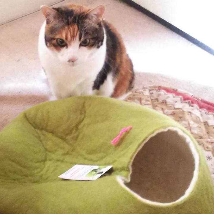 78bb3205 d116 4c91 91c2 33d0d7e43558 1547859396242