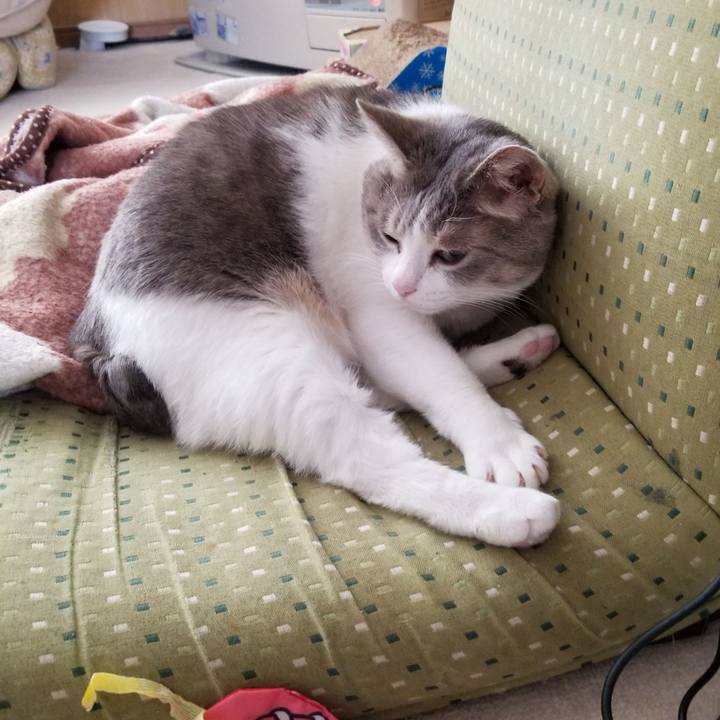 78bb4061 e963 4f9e b9b3 7300c77c92a7 1640999451998