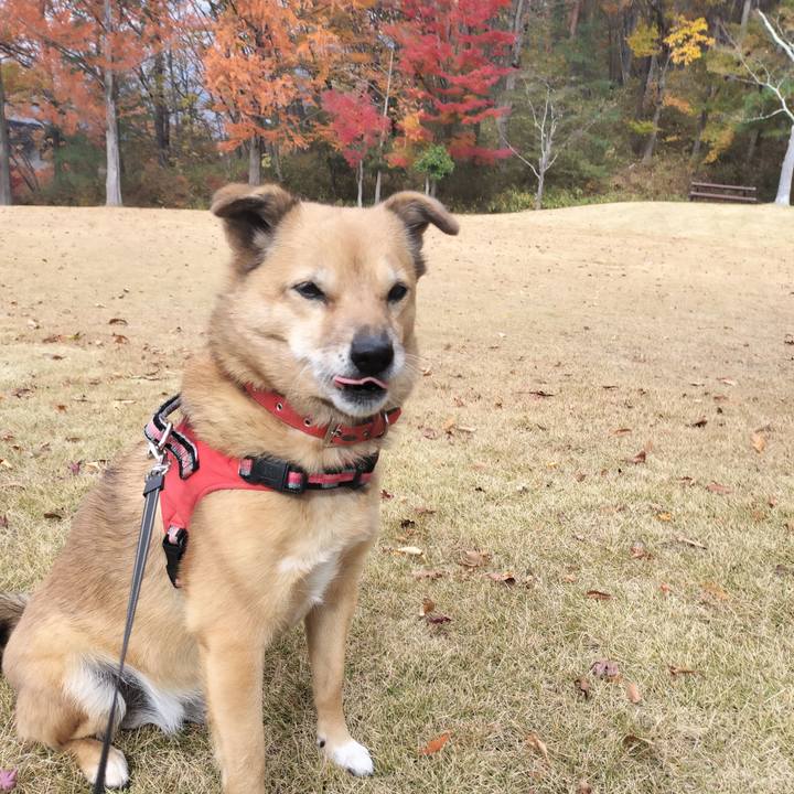 78bb47e6 d0cd 4fc9 b616 c3fc22767cf5 1763465819014