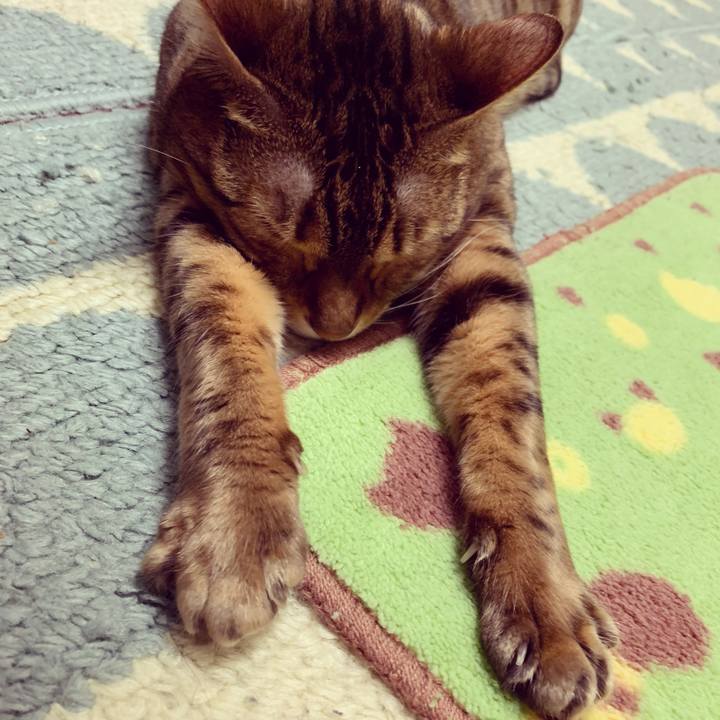 78bb56f4 ac18 4b18 9acf c2468d51b905 1588023701212