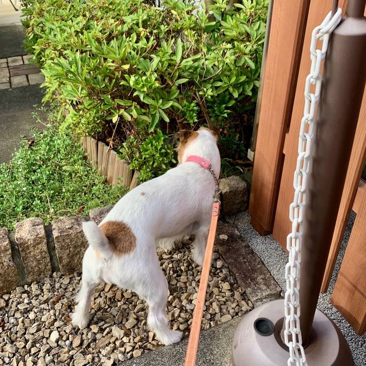 78bb5b15 1721 4fad ace9 aff2d800a2ac 1660173971928