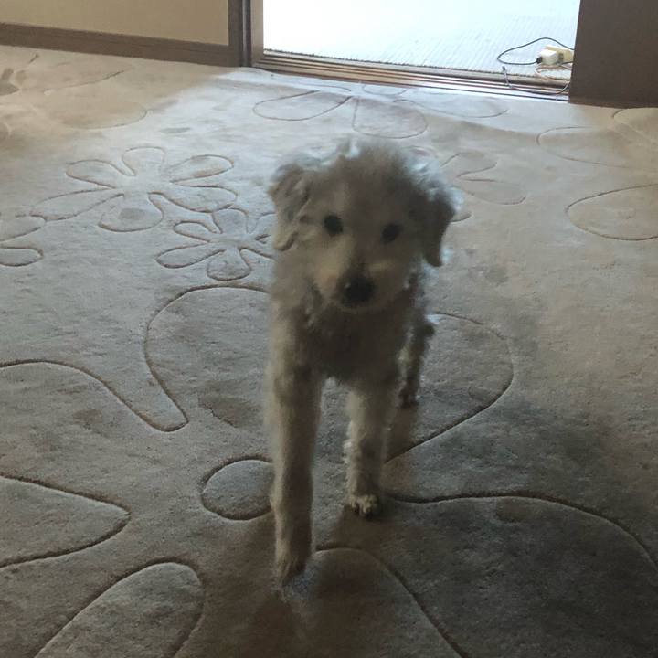 78bb5ce0 55cc 4911 9587 a8444b38885e 1642554706758