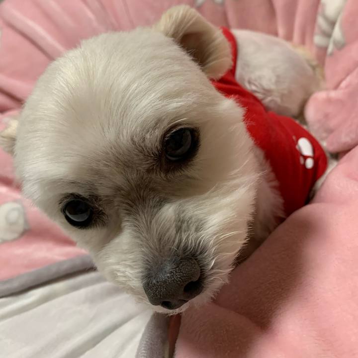 78bb7204 ea5a 4438 8340 9a5b1b2da59d 1586774054036