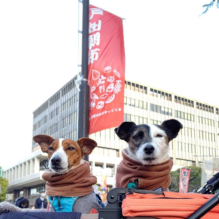 78bb8632 e646 4d84 87bd a12ec7012f0d 1670728241049