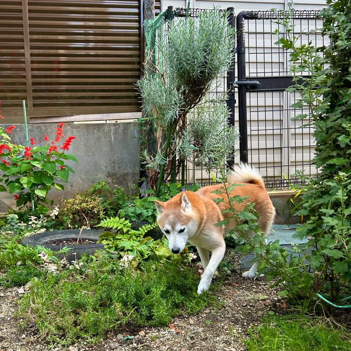 78bb96ee 05c8 4151 a02e 01650161e308 1759835744560