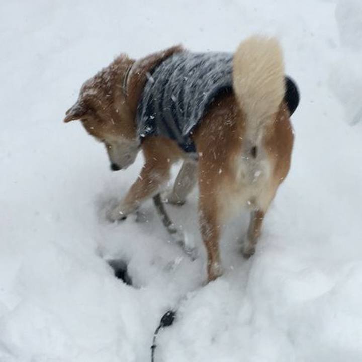 78bb990a 0219 4d61 9056 2cd3a31e161b 1514714640454