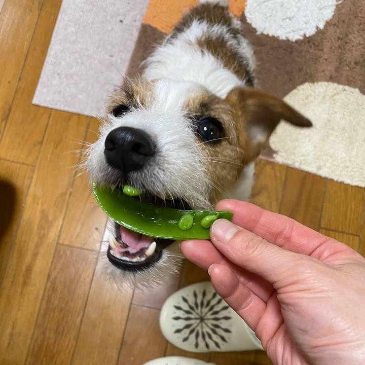 78bba880 f2cb 45cb a0a4 e04fbacdb95c 1739278329925