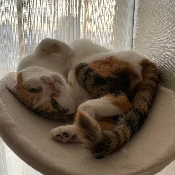 78bbc57a 9dbd 47c1 9000 ef6ac2ea278f 1619861453160