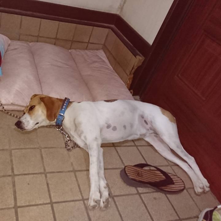 78bbeb0a 48de 48d4 b8f2 51ab1906fed5 1564403477360