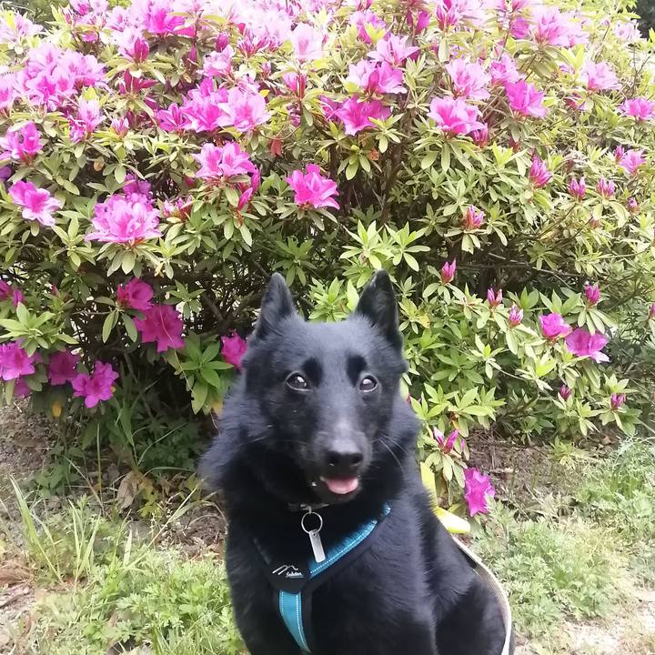 78bbede9 afdf 489a 8356 f868d9629cba 1650488506870