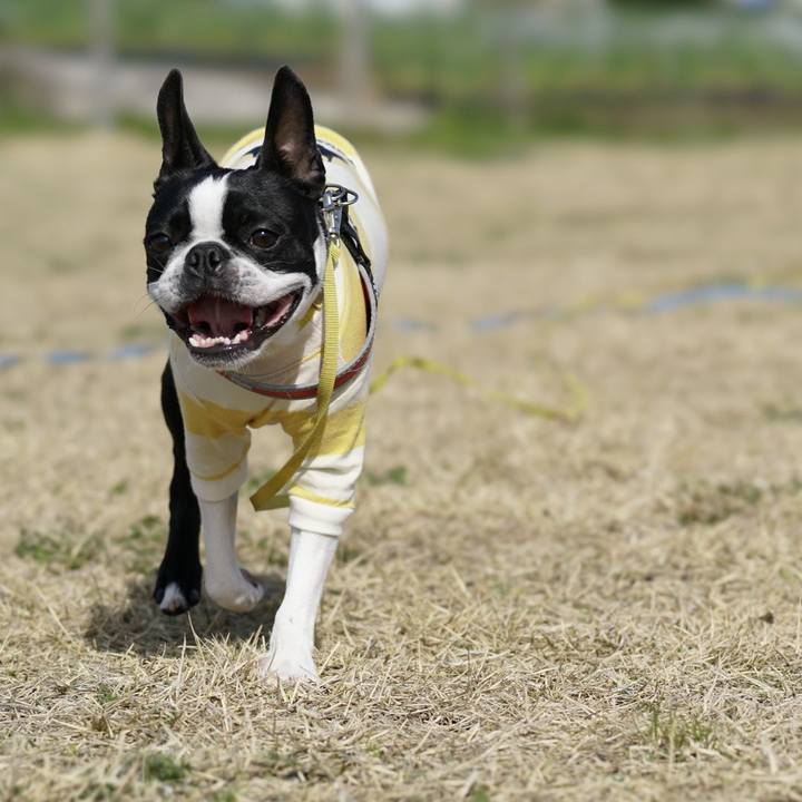 78bc2dec 6c73 4570 8fff 197b42f483c0 1521351082223