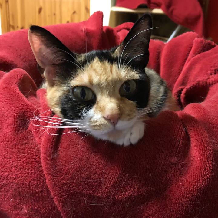 78bc9975 85ee 4c41 a918 38ac43ff2c36 1524914695952