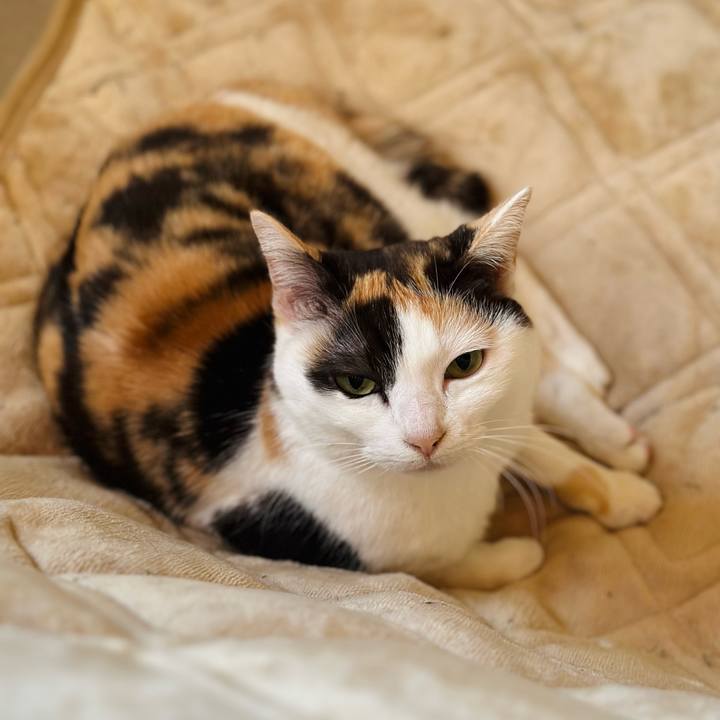 78bca003 33af 476c 99b5 2d3af030fc40 1681350870410