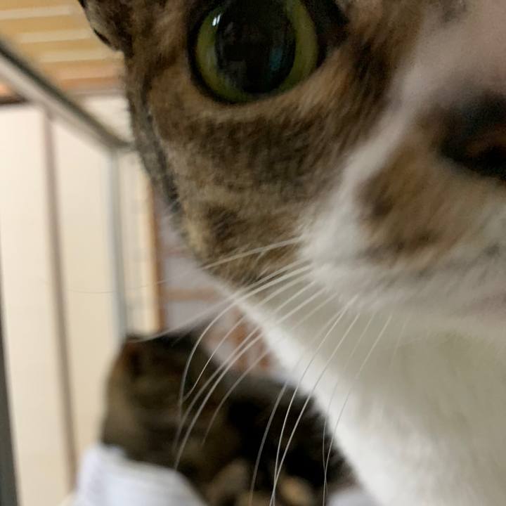 78bcb78d ada3 401b b7c8 c812742c5e31 1561769552172