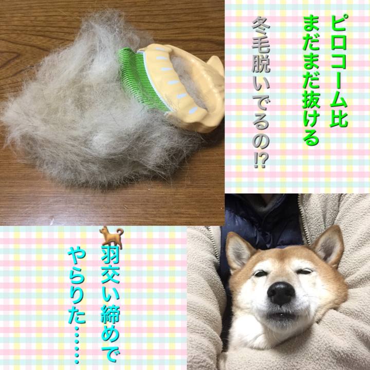 78bcf634 0cb6 438a 9919 92f01dbe8002 1610270976478