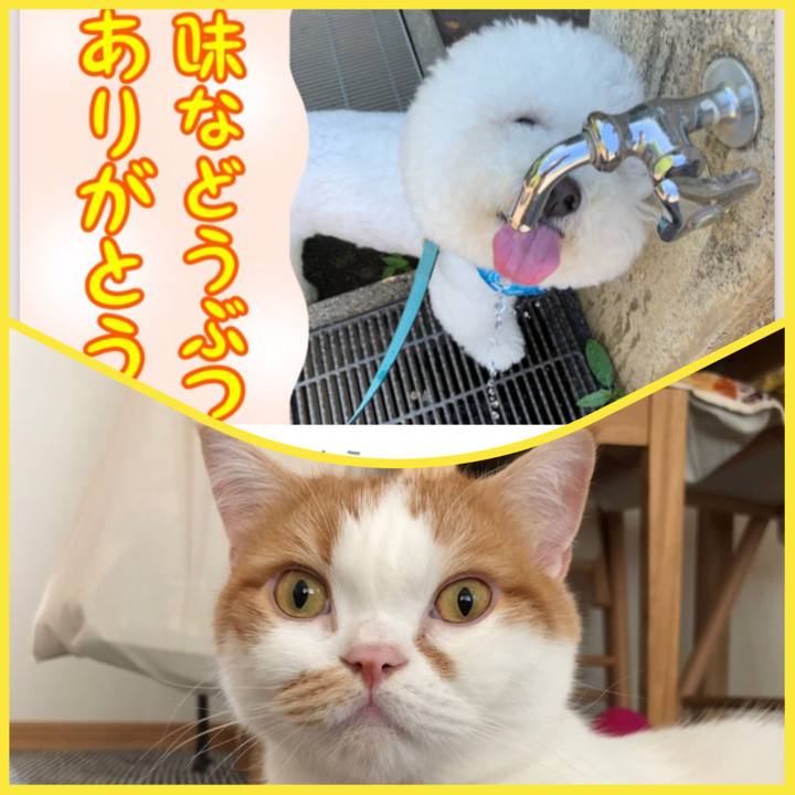 78bd4b5f 9ec0 4dd1 88cf d00f1d371a72 1566959201815