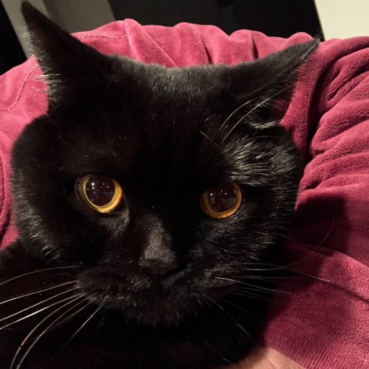 78bd5c52 7861 4980 9d30 324f21583b9f 1583672781415