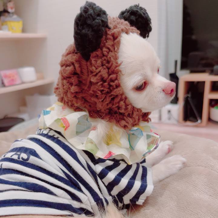 78bd627c 92ae 4694 8305 512537693108 1701427893085