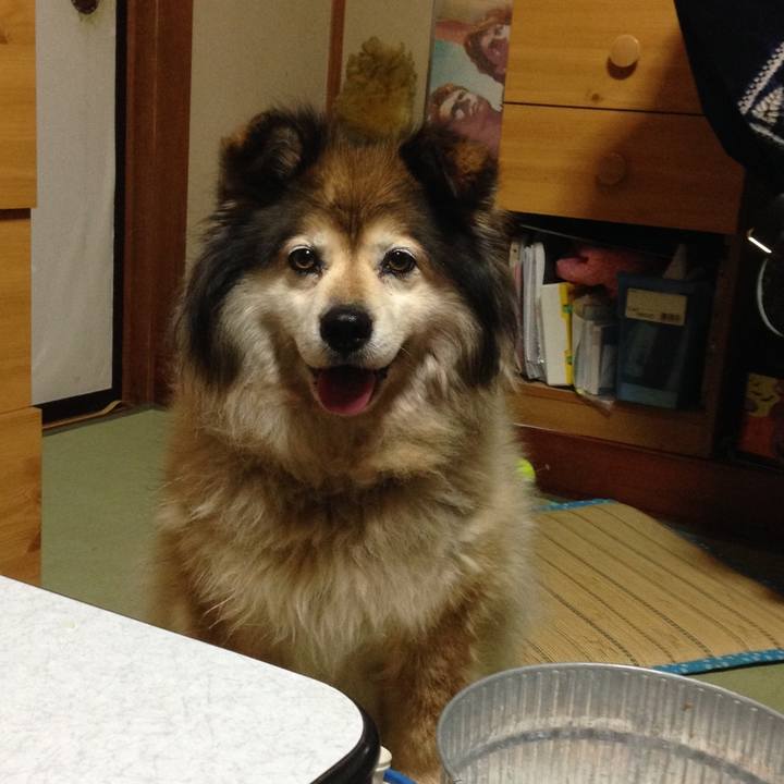 78bd6bcb 7736 4398 b453 adbdd8256e59 1598302715770