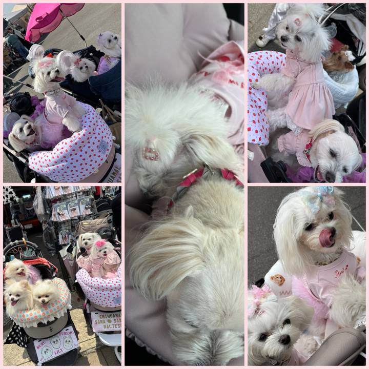 78bd7cdd c8b5 4665 ac85 21843e513741 1749313468380