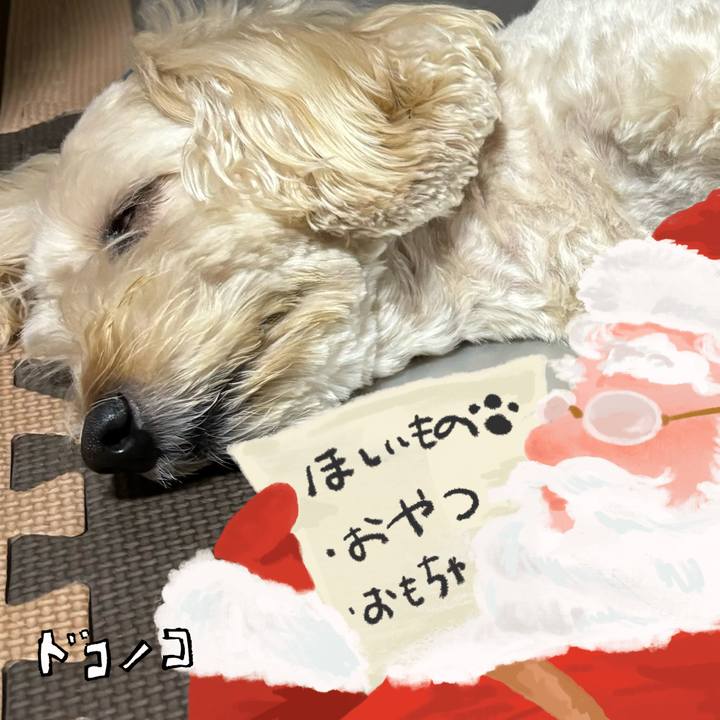 78bd9d4b 7175 4d2e b4a3 43b1895eb416 1729135847510