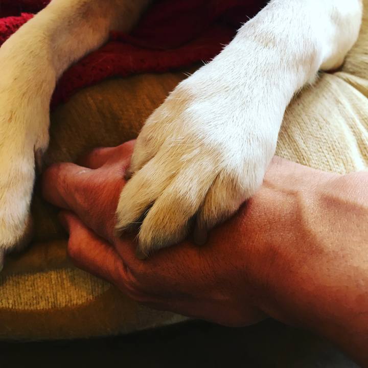 78bdaa12 96fb 4a11 8c96 e54ace941fe7 1509841252508