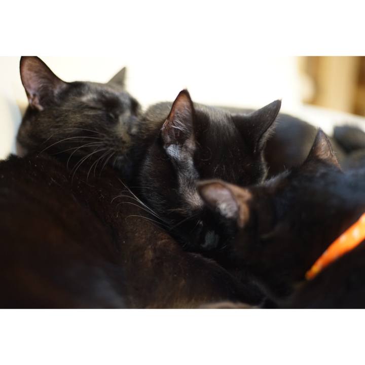 78bdba38 7012 4e84 ab49 88f54b569269 1520224074648