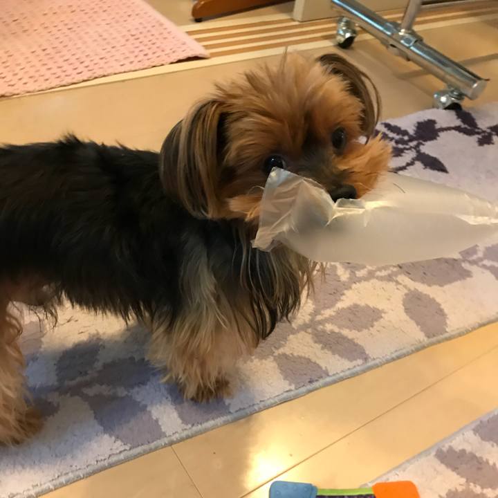 78bdd01d 1ee0 49f3 a592 482a34049892 1510119538542