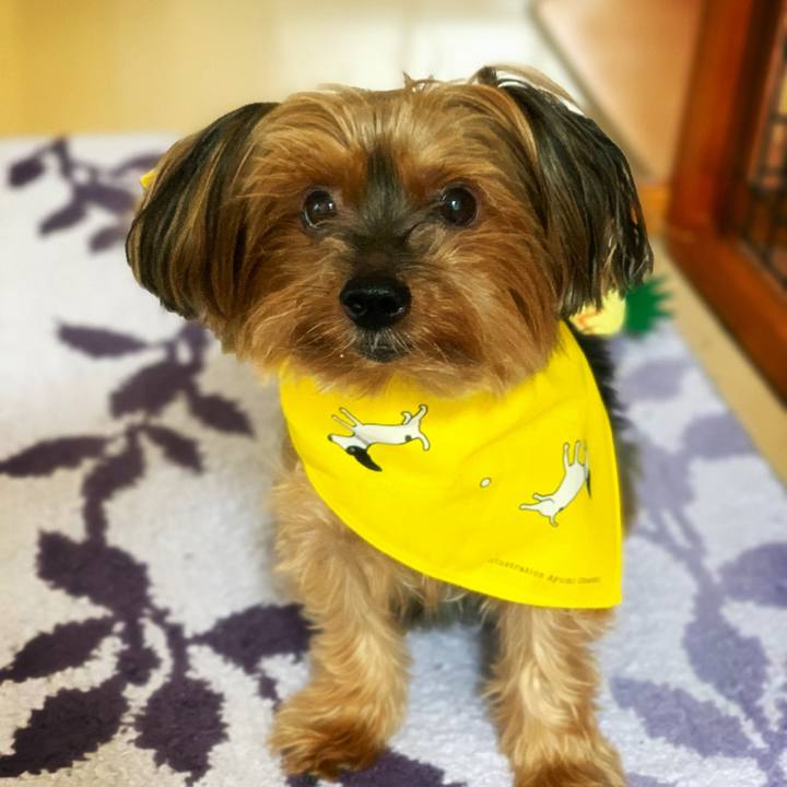 78bdd71e 6095 417d a80d 8f414ed71bfb 1591425783482