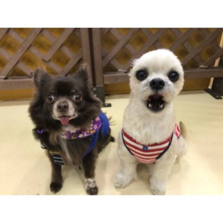 78bde32c e73a 4eb9 a902 304e78deadce 1550489207072