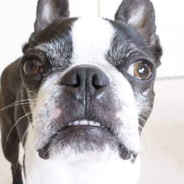 78bdf0a9 b5c2 4522 9d0f ea66d365aa27 1523593324948