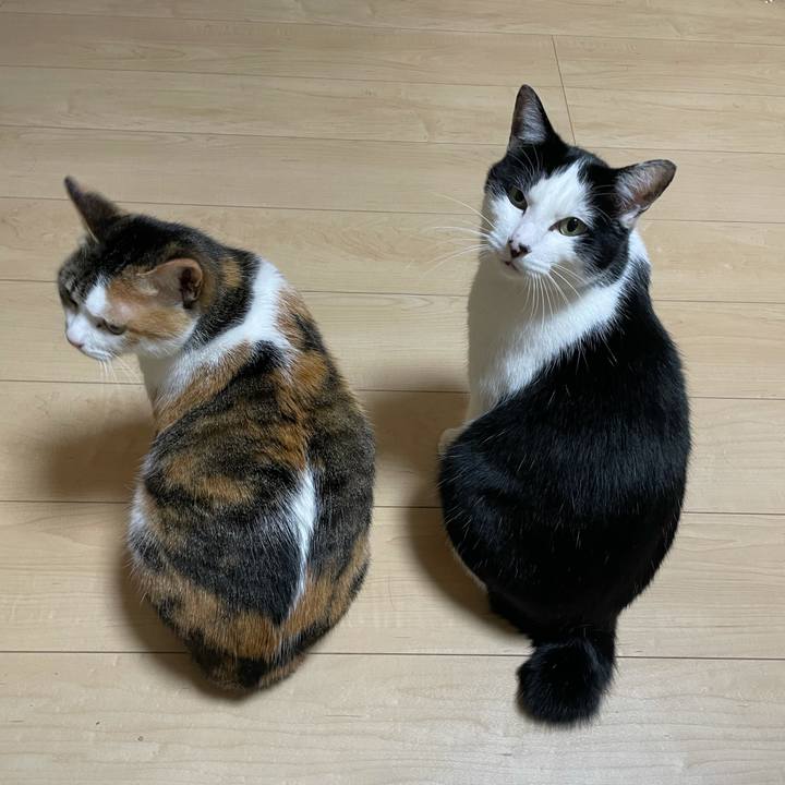 78be25cd eb5a 4e97 869f e2168d7b58d6 1641922849688