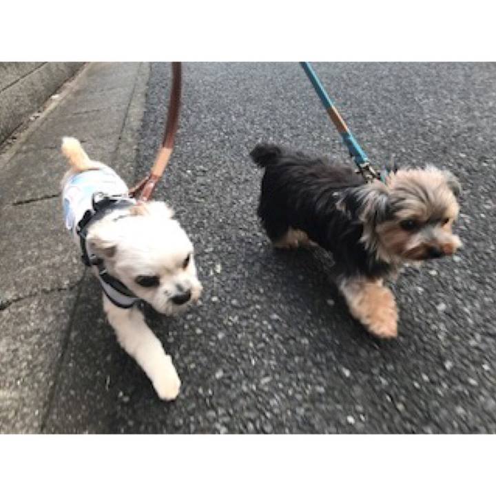 78be36fe 6638 4229 a318 ca2e147ca7c5 1568113498876