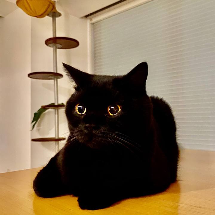 78beb946 ffdf 42c8 ae11 153154de2240 1599830733428