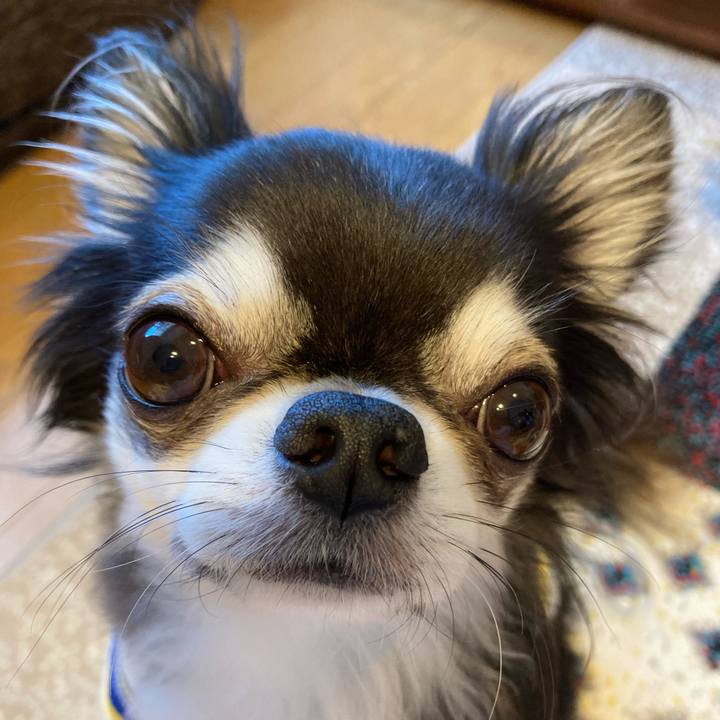 78bedaa8 fd65 422c a1b8 a8cf024143a2 1714868780880