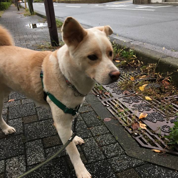 78beea49 f1e8 4e5d 9fa9 ff8a26d4fa49 1508658894864