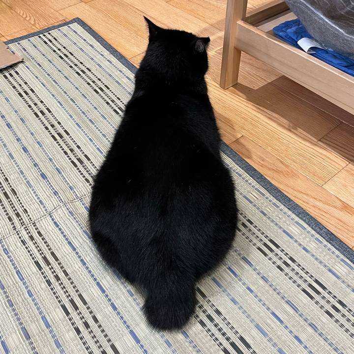 78bef245 1249 4747 916c e8b7d0767352 1658965310669