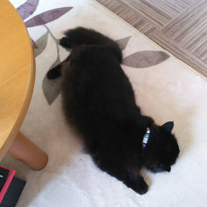 78beff26 c8d1 4f80 8cfb 075e0aaa649a 1527645986558