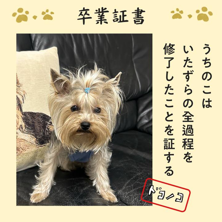 78bf2960 428c 4f0e 87e9 9d6a417dbb09 1771836805670