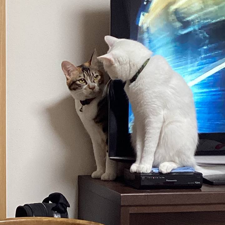 78bf29f1 d02a 41f2 9803 2be32d900560 1671071910996