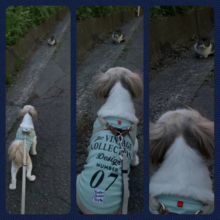 78bf5fbf ce85 411c a647 82be91b77dd8 1651153662908