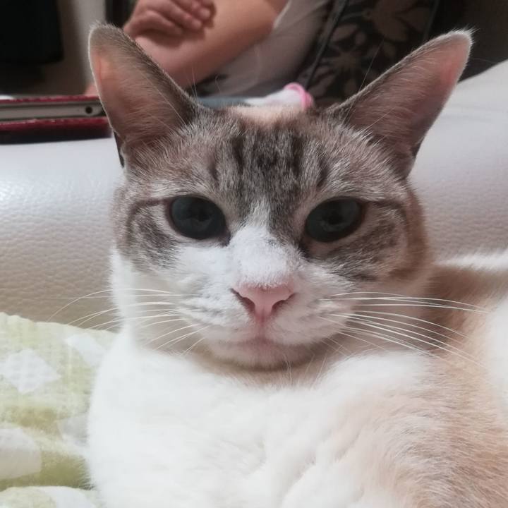 78bf8530 b936 4913 8d1a 0edcf8a70a88 1535370715917